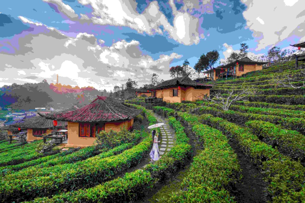 chatok