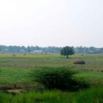 habiganj-dorshoniyo-sthan