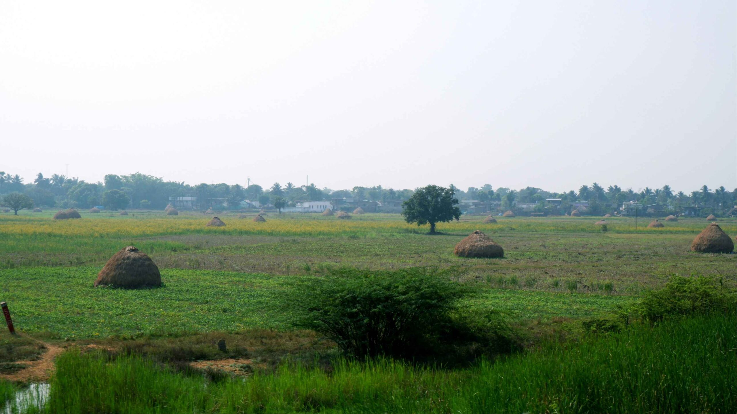 habiganj-dorshoniyo-sthan